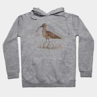 Curlew Hoodie